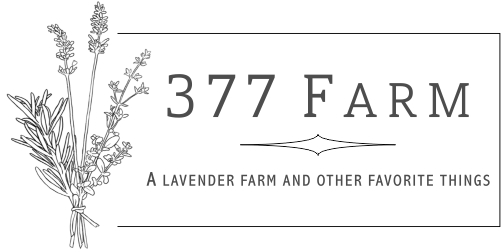 377 Farm